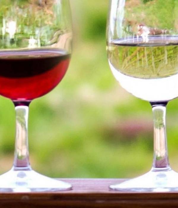 two wine glasses